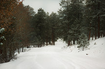 winter mountain forest landscape 