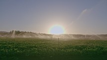 Slow motion of impact sprinklers irrigating a field during sunset
