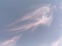 dove-like wispy cloud in the sky 