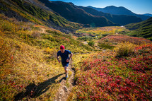 Runner in fall color, Southeast Alaska.