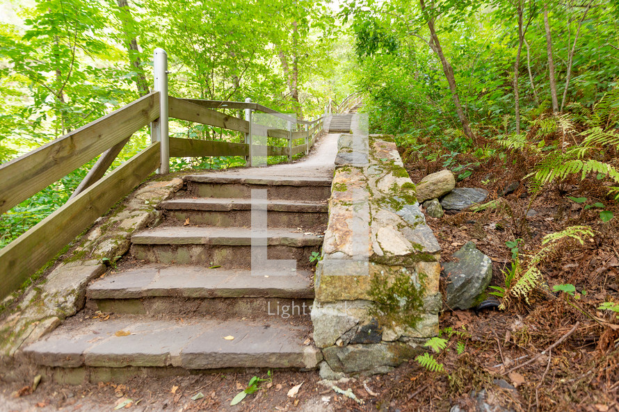 Stairs on pathway through forest