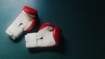boxing gloves in the ring 