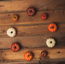 circle of small pumpkins 