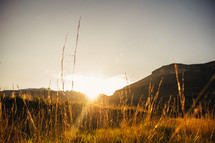 A sunset shines between mountains and tall grass.