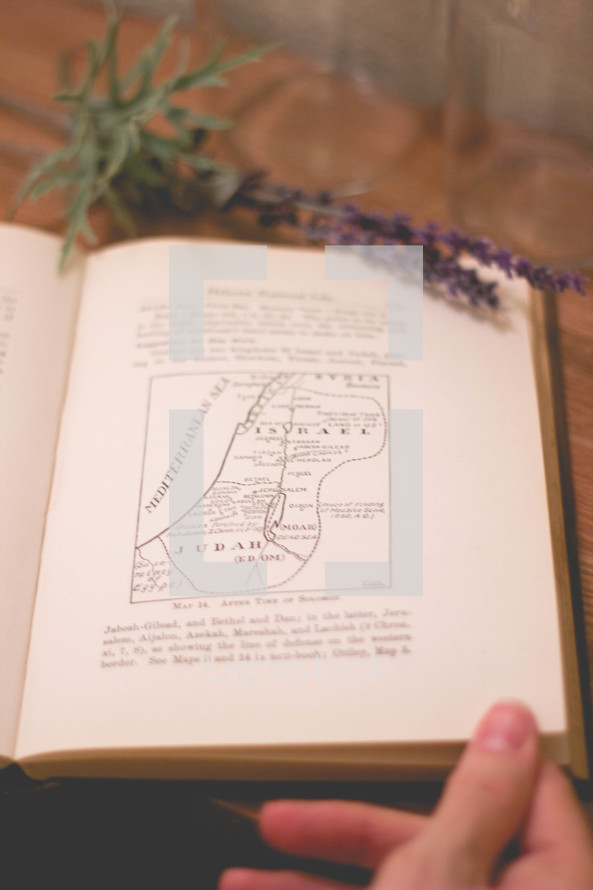 sprig of lavender on a pages of a book 