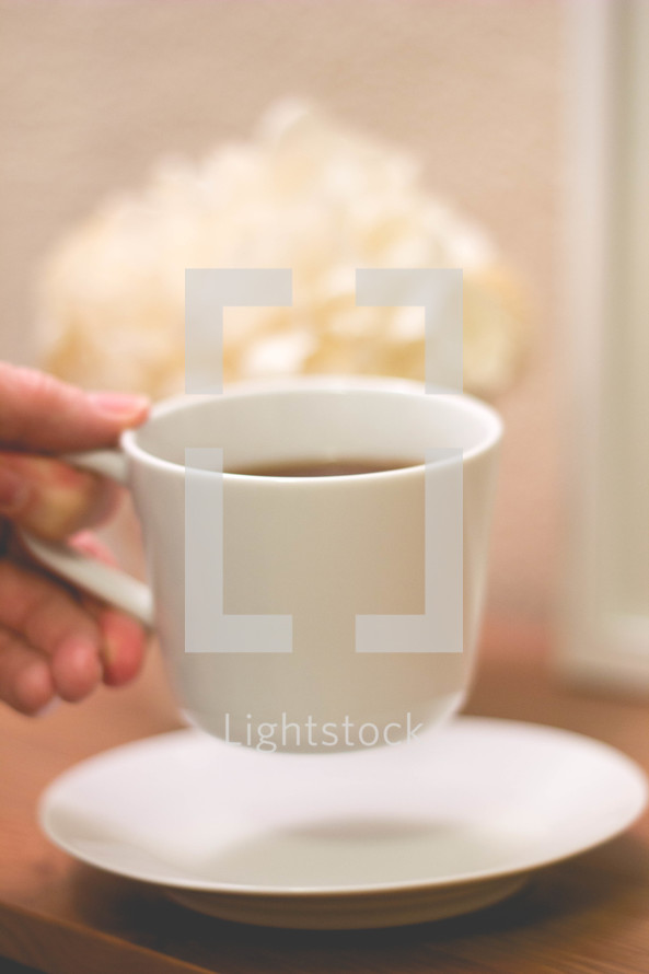 woman holding a coffee cup