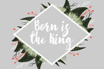 born is the king 
