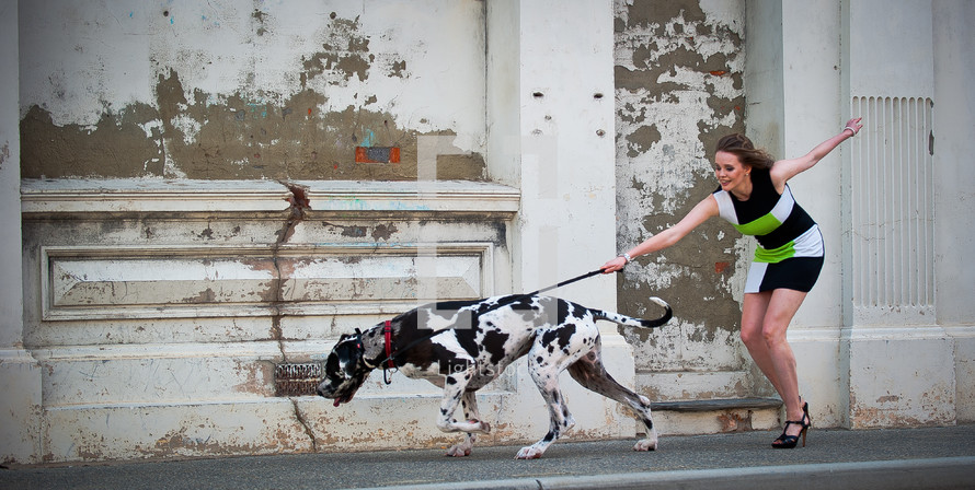 Woman being pulled by Dalmatian dog