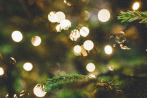 bokeh white lights on a Christmas tree 