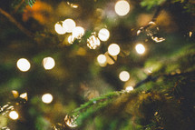 bokeh white lights on a Christmas tree background 