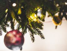 ball ornament on a Christmas tree 