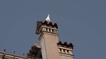 A slow motion of a seagull sitting on an old Venice chimney