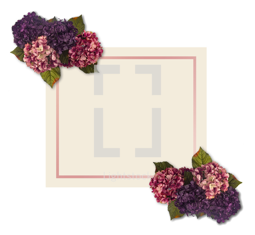 hydrangeas and pink and white paper 