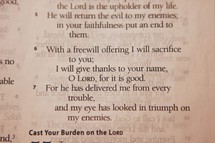 give thanks scripture