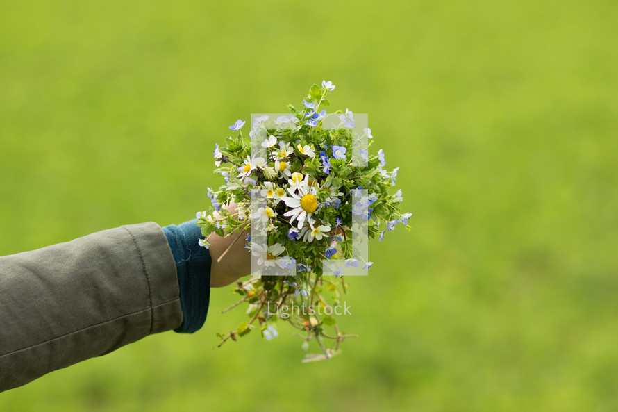 arm holding out a bouquet of picked flowers 