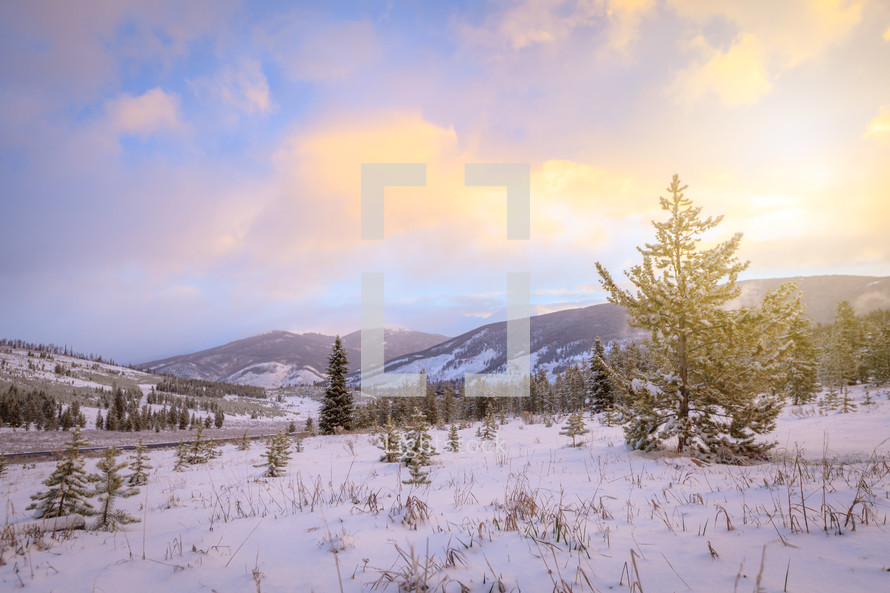 Snowy Rocky Mountain landscape in Colorado at sunset with evergreen trees on slopes