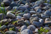 rocks on the ground 