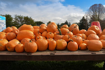 pumpkins on a truck bed 
