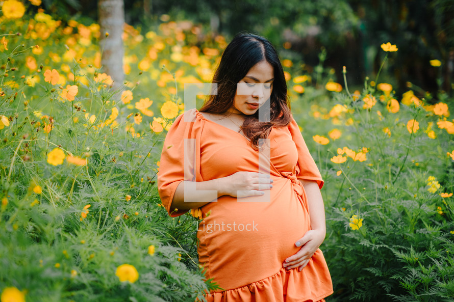 portrait of an expecting mother in a field of yellow flowers 