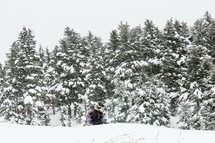 Skier snowing through winter trees