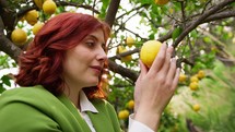 Woman standing under a lemon tree.