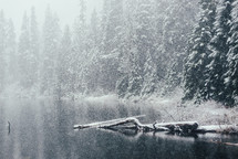 falling snow and a lake 