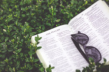 sunglasses on an open Bible in a bush 