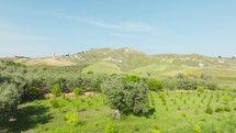Hill in countryside with green meadow