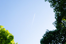 Airplane trail in sky with trees bordering the edge