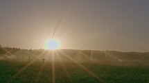 Wide view of many impact sprinklers irrigating a field during sunset