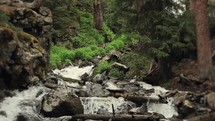Water rushing over rocks in a stream surrounded by trees.