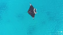 The views of the Archipelago of Komodo in Indonesia has been filmed in April 2023.
Find in the Sequence Manta Ray filmed from the Sky

The shots are taken with a drone Mavic Air
Shot are native 4K30p / edited with DaVinci Resolve