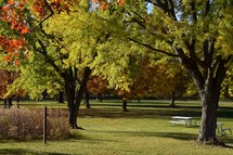 A relaxing sun filled scene of trees in a park transitioning to fall colors signaling the change of the seasons. 