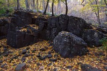 Fall leaves on rocks
