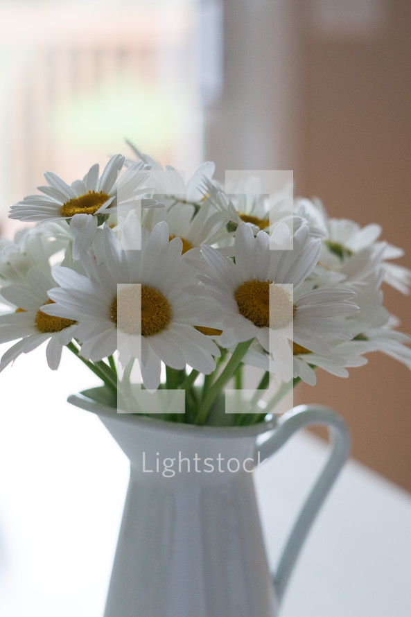 white daisies in a pitcher 