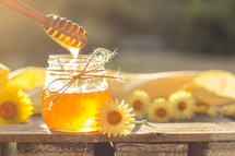 honey comb in honey 