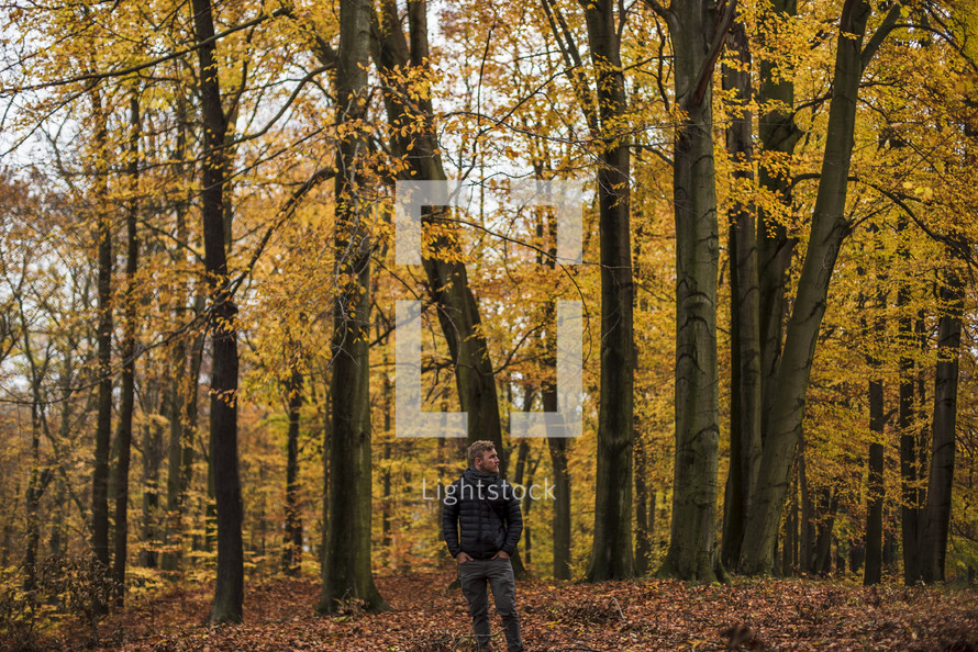 a man standing in an autumn forest 