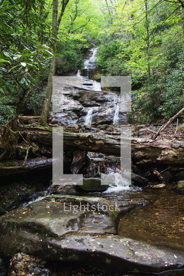 waterfall in Mount Mitchell 