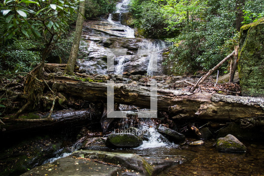 waterfall in Mount Mitchell 