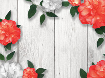 coral and white flowers on a wood background 