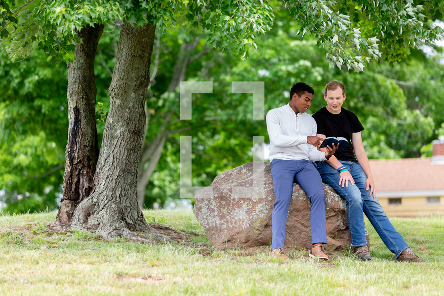 Two men reading the Bible under a tree