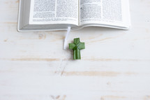 open Bible and palm cross 