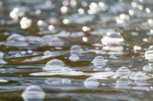 bubbles on a pond 