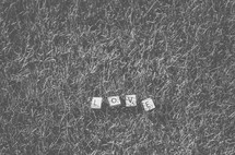 "Love" spelled out in Scrabble tiles in the grass.
