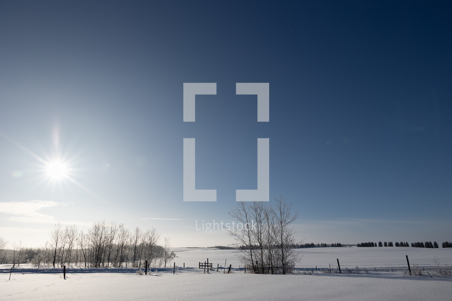 Sunshine over a snow covered field 