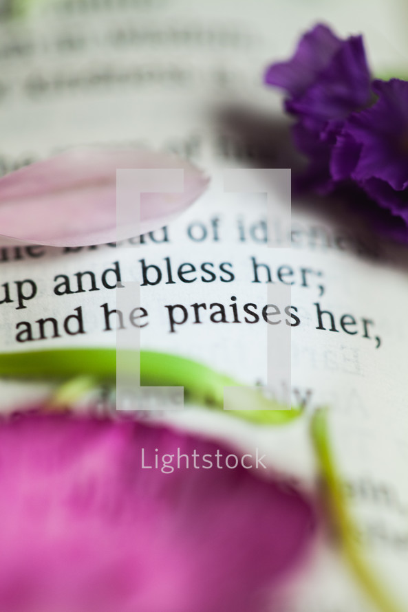 A closeup of a Bible verse and flower petals.