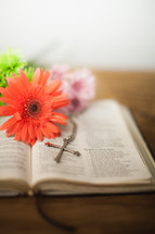 Flowers and a cross on an open Bible.