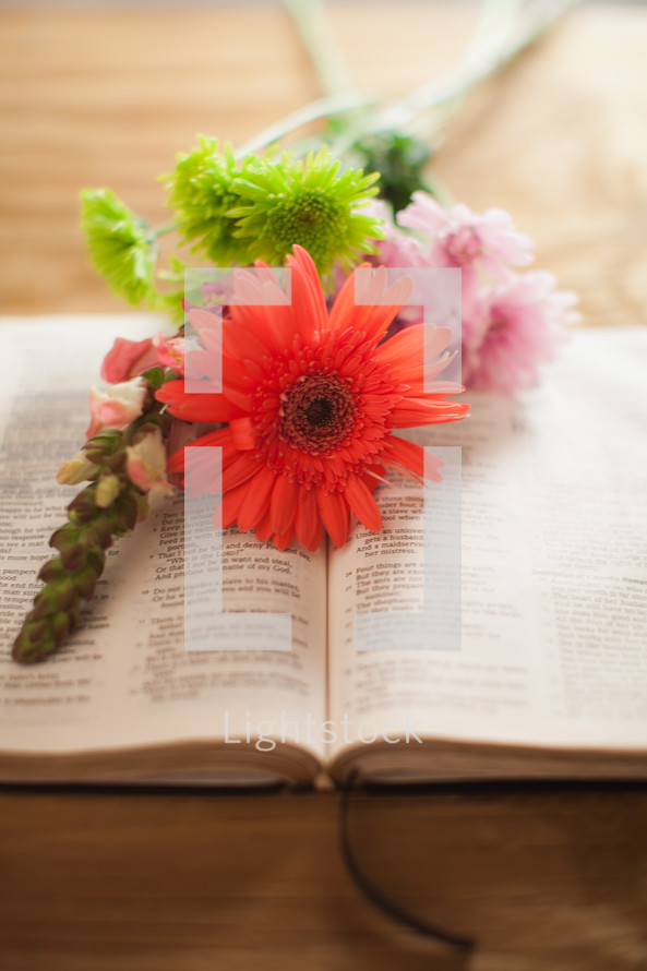 Flowers on Bible pages open to Proverbs 31.