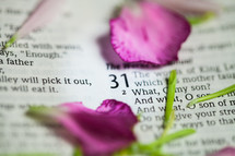 Flowers petals and stems on Bible pages open to Proverbs 31.