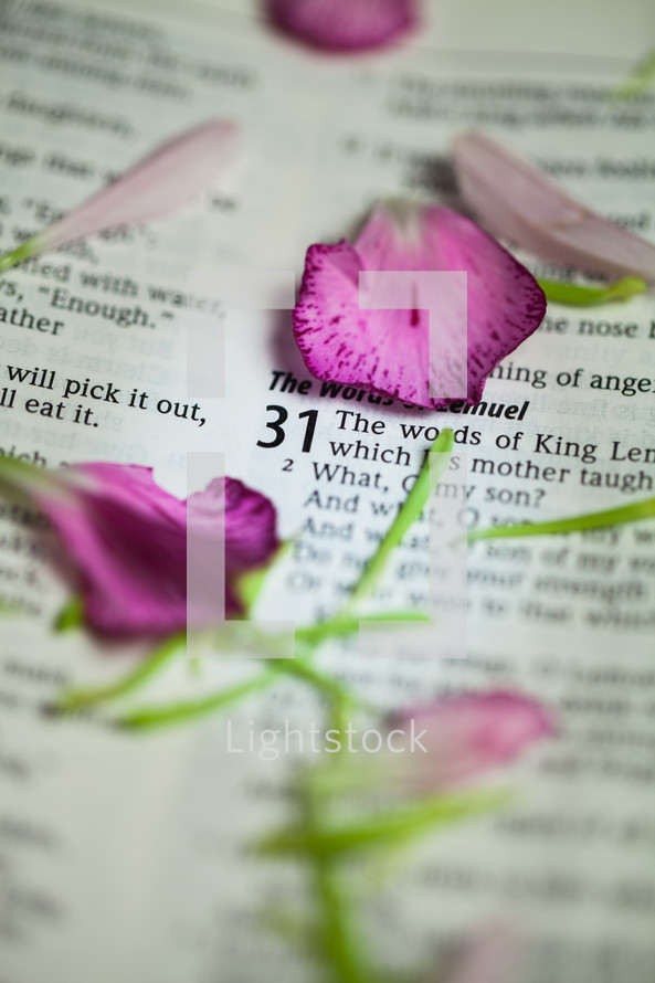 Flower petals and stems on Bible pages open to Proverbs 31.
